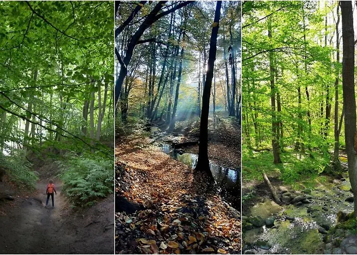 Apartment Baltic White Diuna Supernovi *